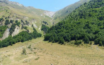Découvrir la faune et la flore d’une région