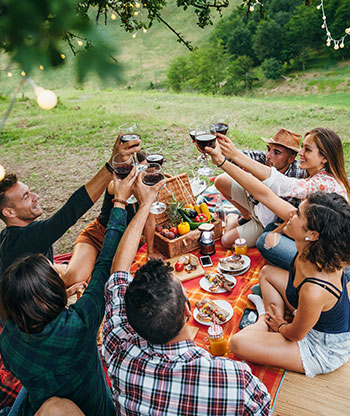Groupe d'amis qui trinquent pendant un repas à la campagne